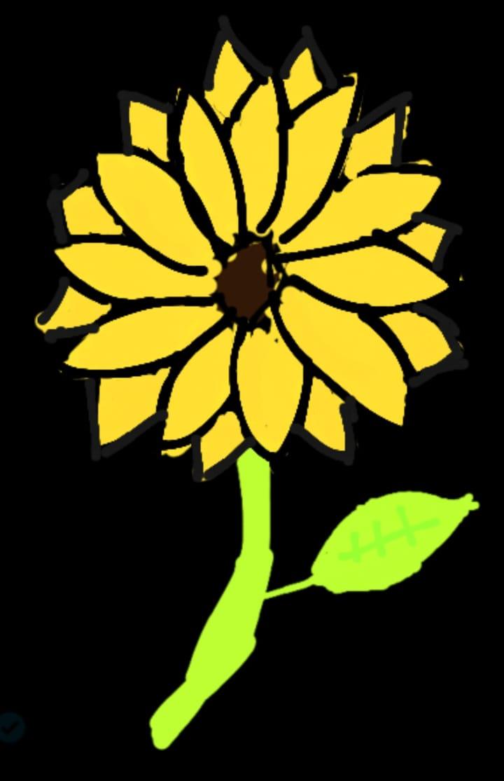 Girasol dibujado