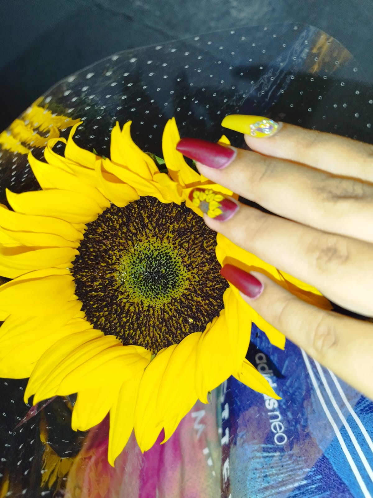 Girasol y tus u&ntilde;as